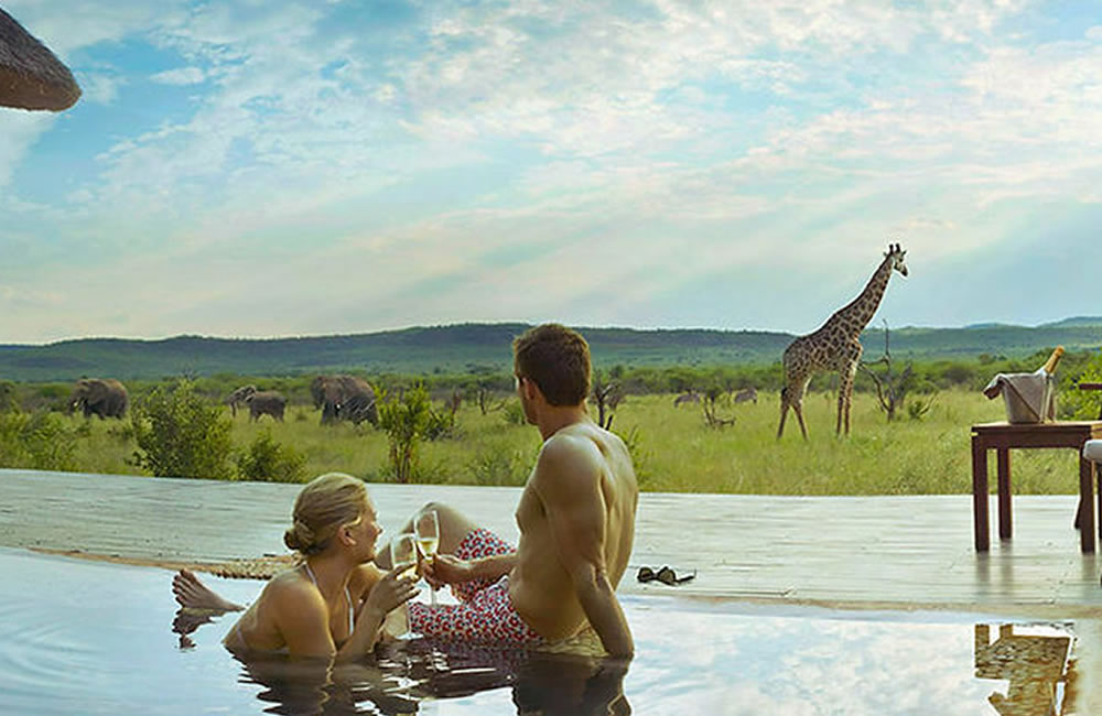 Honeymoon Safari