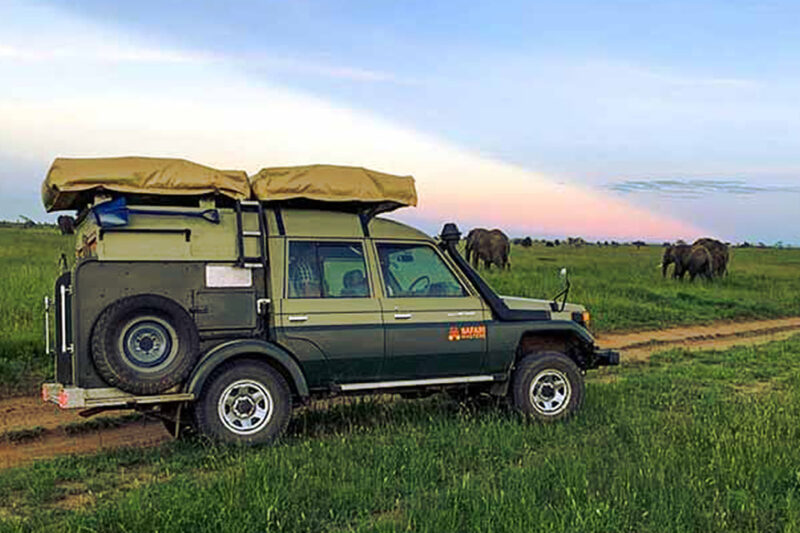 Find the Perfect 4×4 Land Cruiser for Tanzania Adventure